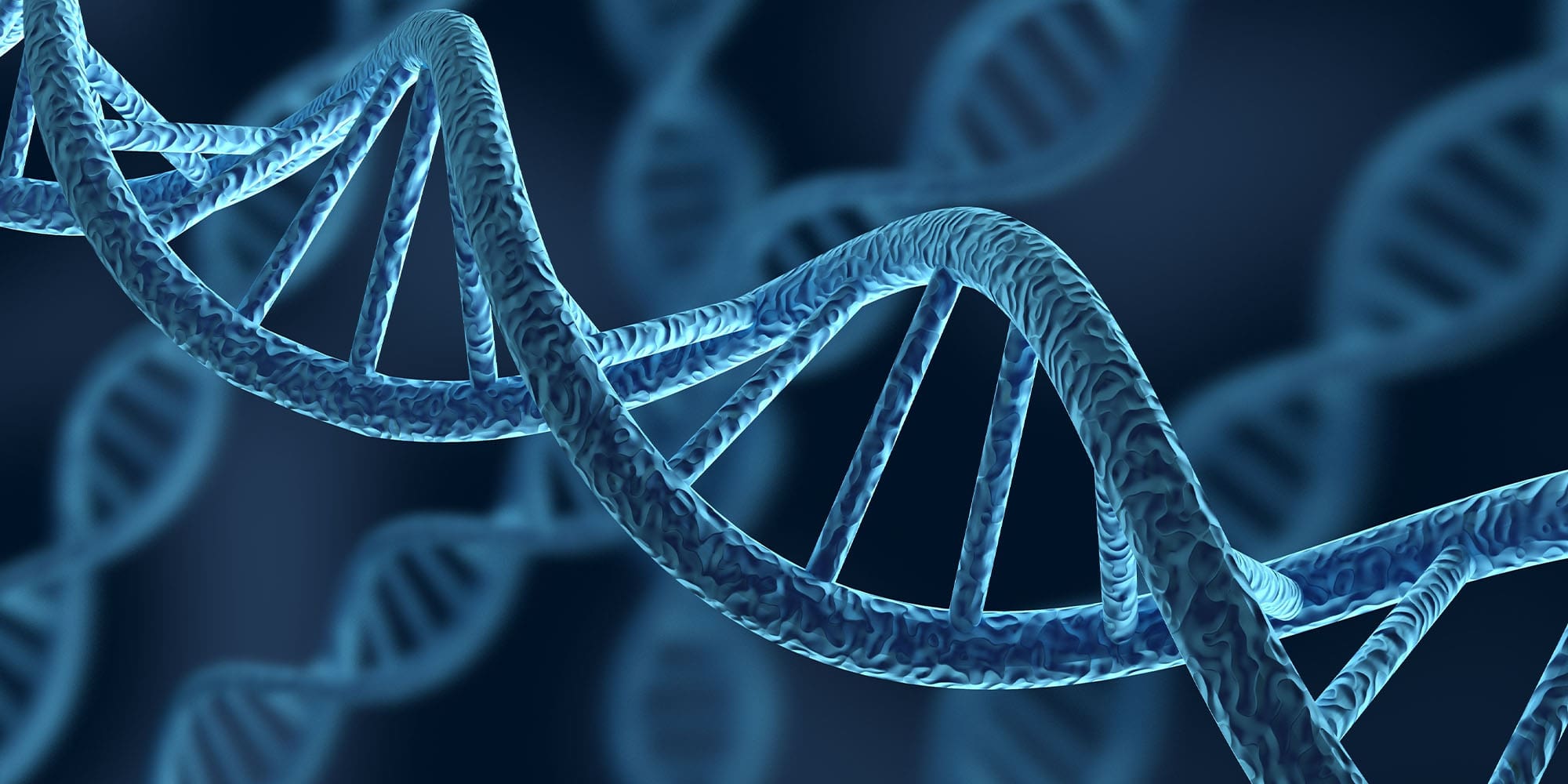 DNA Strand