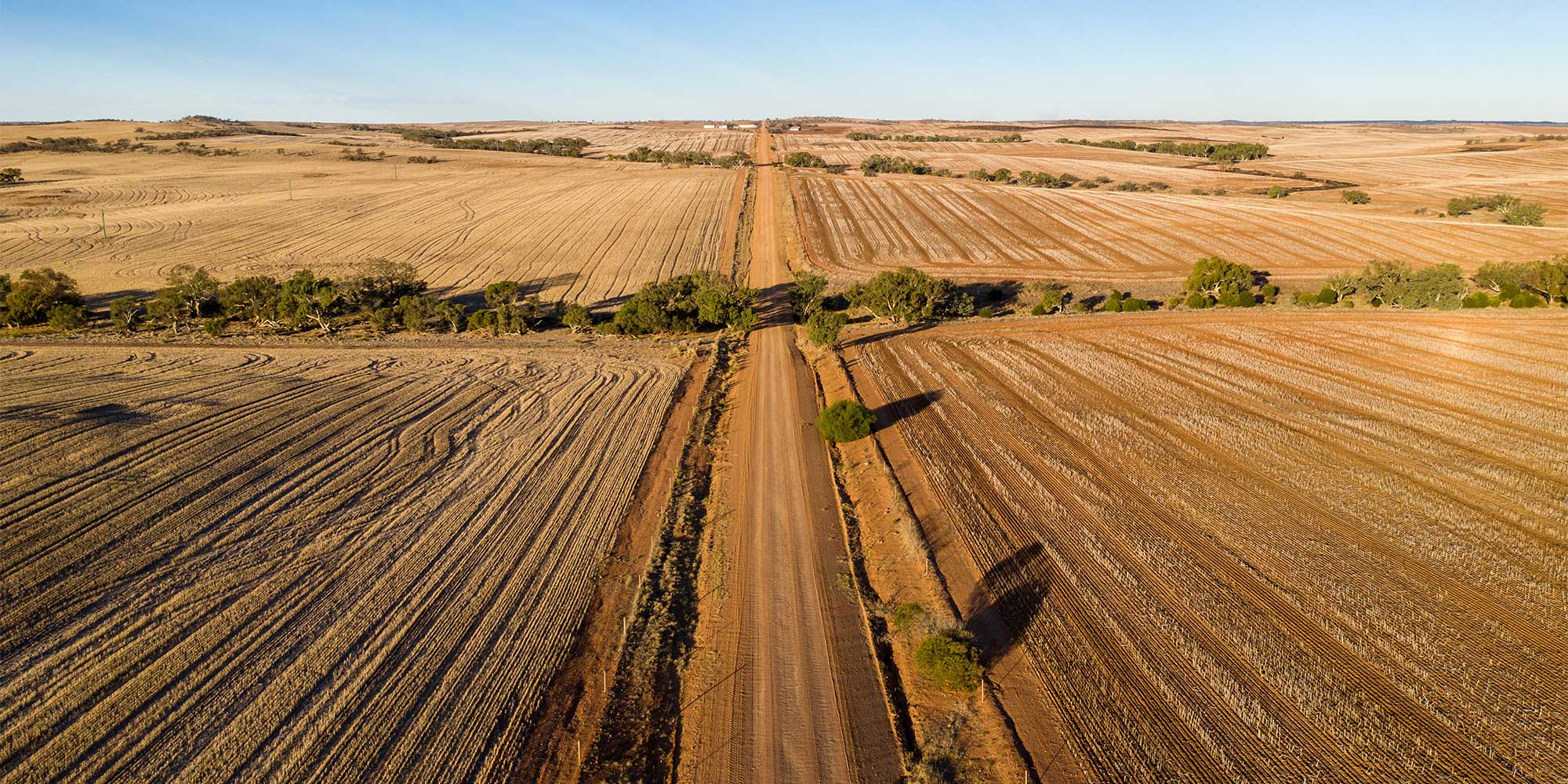 Wheatbelt arial shot